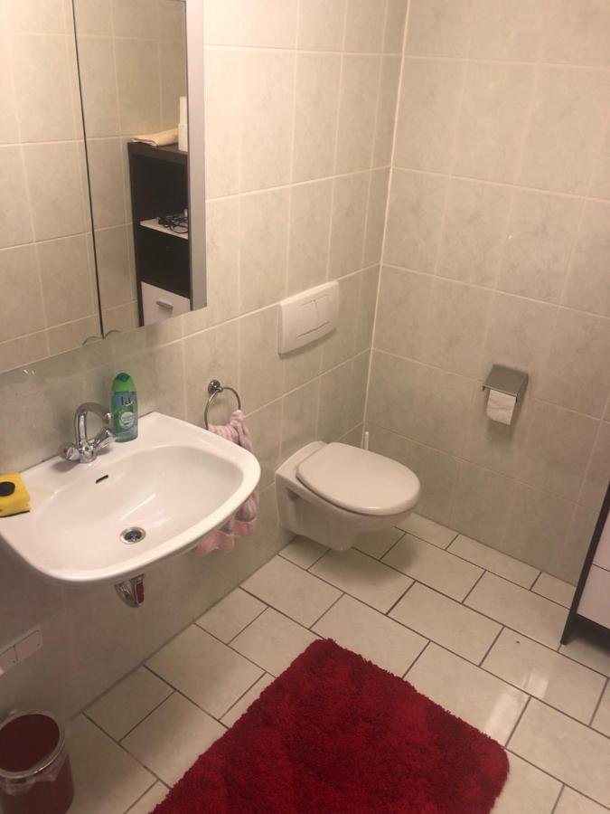 1-Zimmer Apartment, 45 qm, im Weinort Neustadt-Duttweiler Neustadt an der Weinstraße Exterior foto
